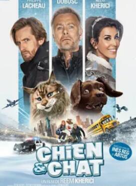 猫狗大乱斗