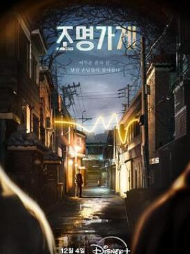 照明商店2024