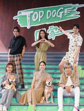 TOP DOG回家