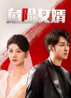 危险女婿
