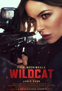 ��ʱӪ��2025