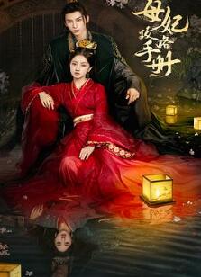 母妃攻略手册