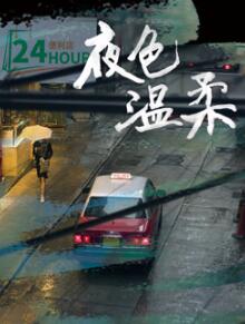夜色温柔2025